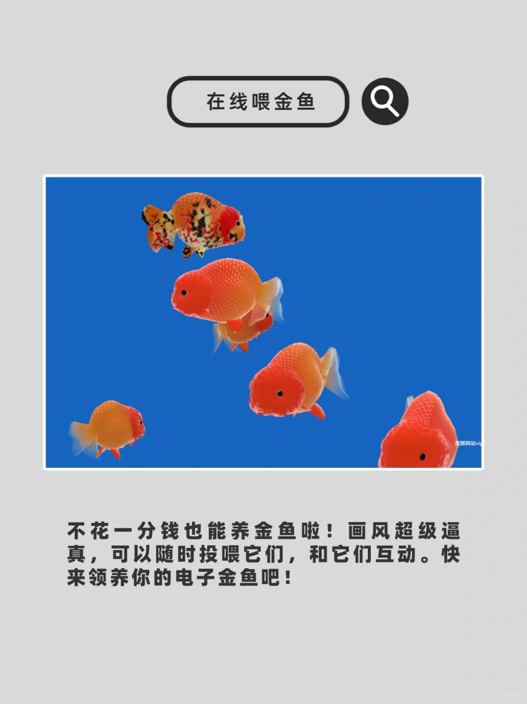 10个稀奇古怪又好玩的🕸️站！无聊救星!