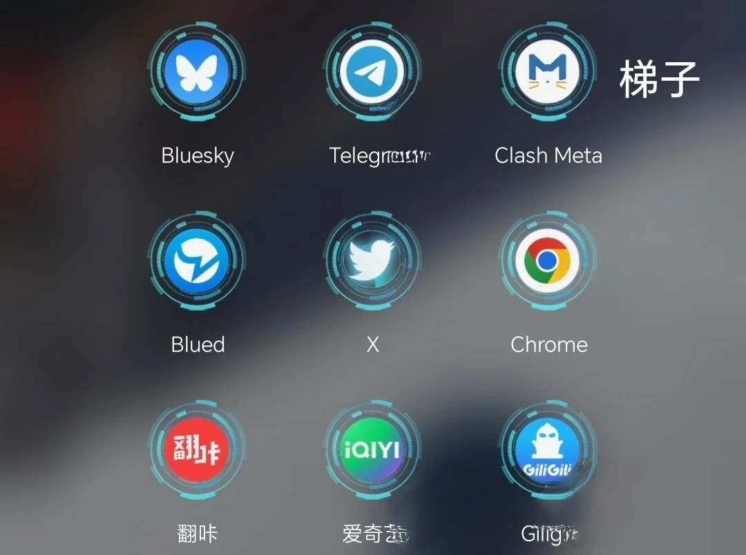 这才是彩虹男孩改有的软件，你们有吗