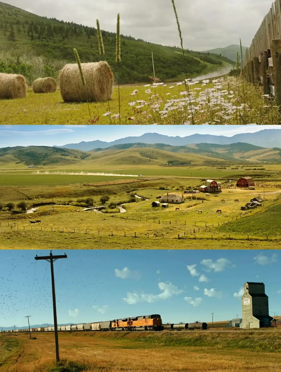 我见过最治愈的电影画面，导演也太会拍了