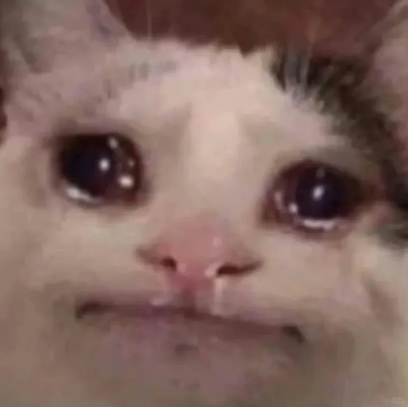 击碎一个大学生只需要让他去下一个软件