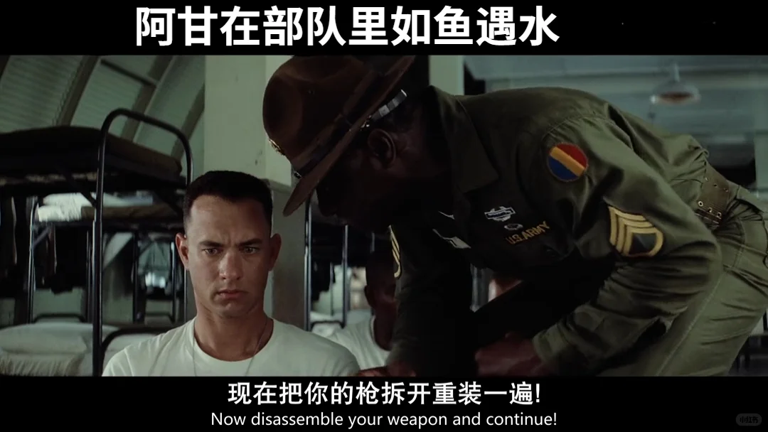 《阿甘正传》：人到中年，回看阿甘