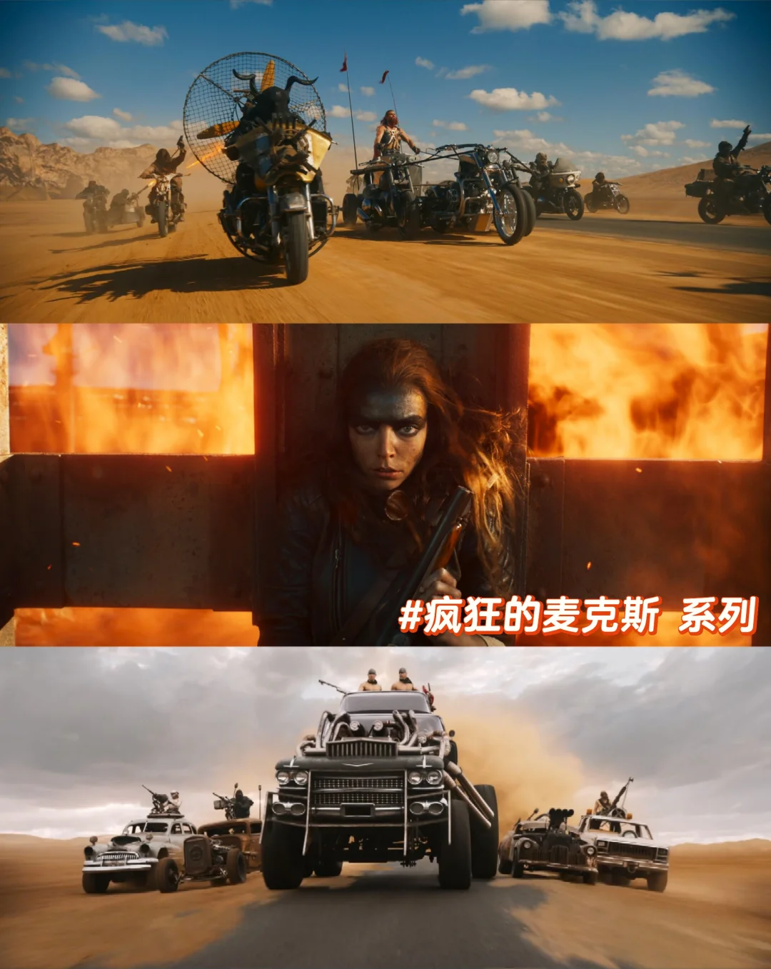 “零烂片”的完美系列❗❗拯救片荒❗❗