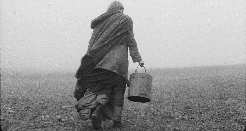 有人断言：这将是五十年内最伟大的电影！🐴