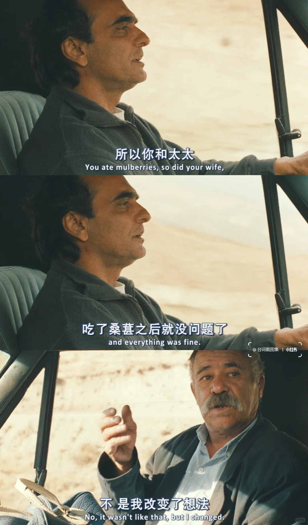 我带着自杀的念头出门 最后却带着桑葚回家