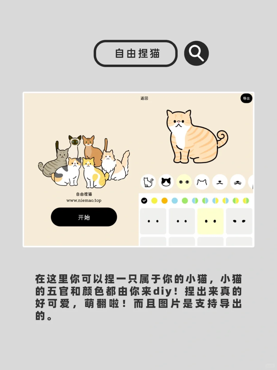 10个稀奇古怪又好玩的🕸️站！无聊救星!