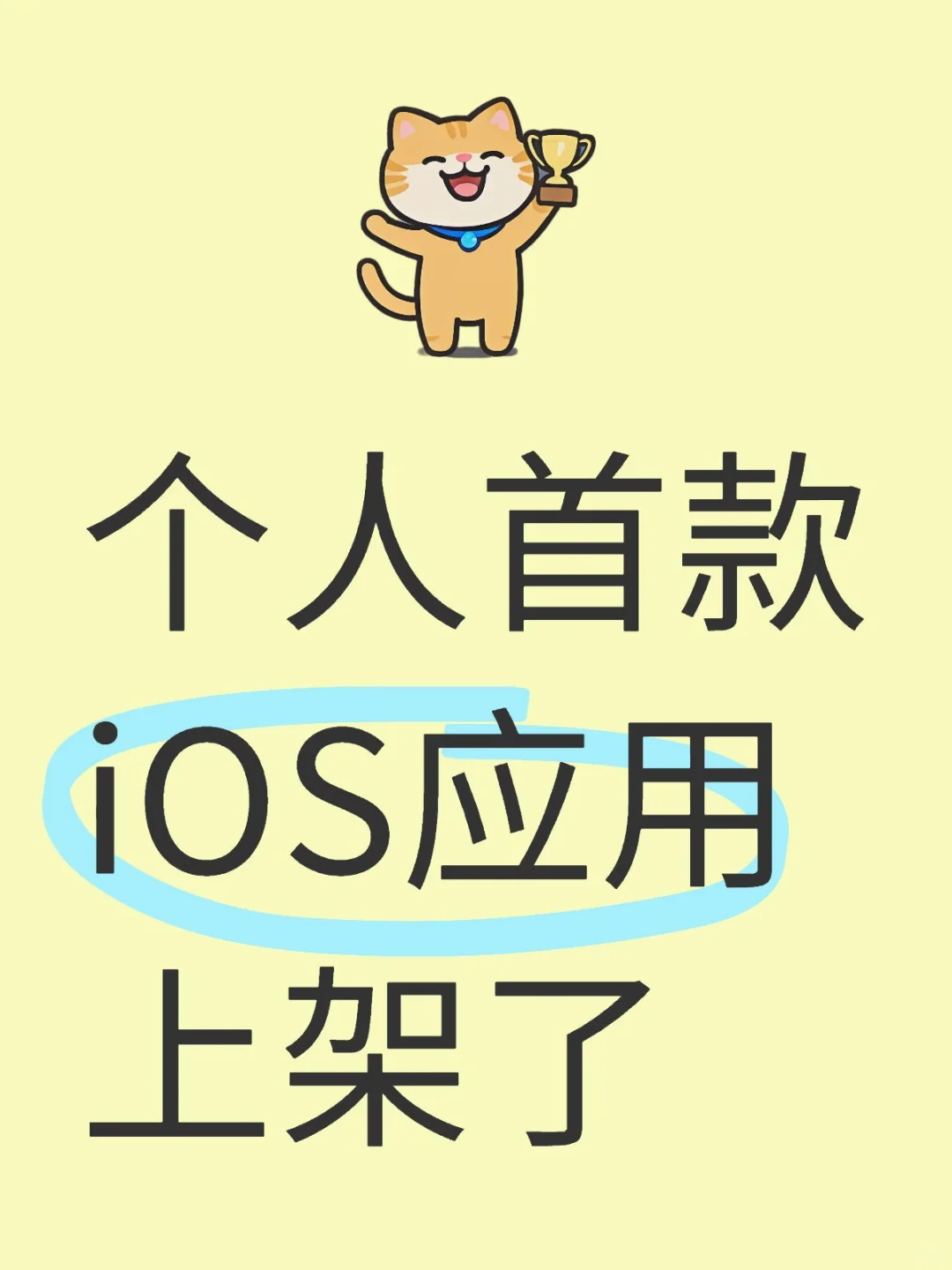 爆肝30天开发的iOS翻译应用上架App Store了