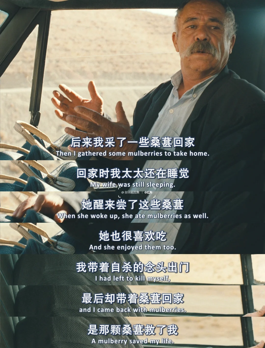 我带着自杀的念头出门 最后却带着桑葚回家