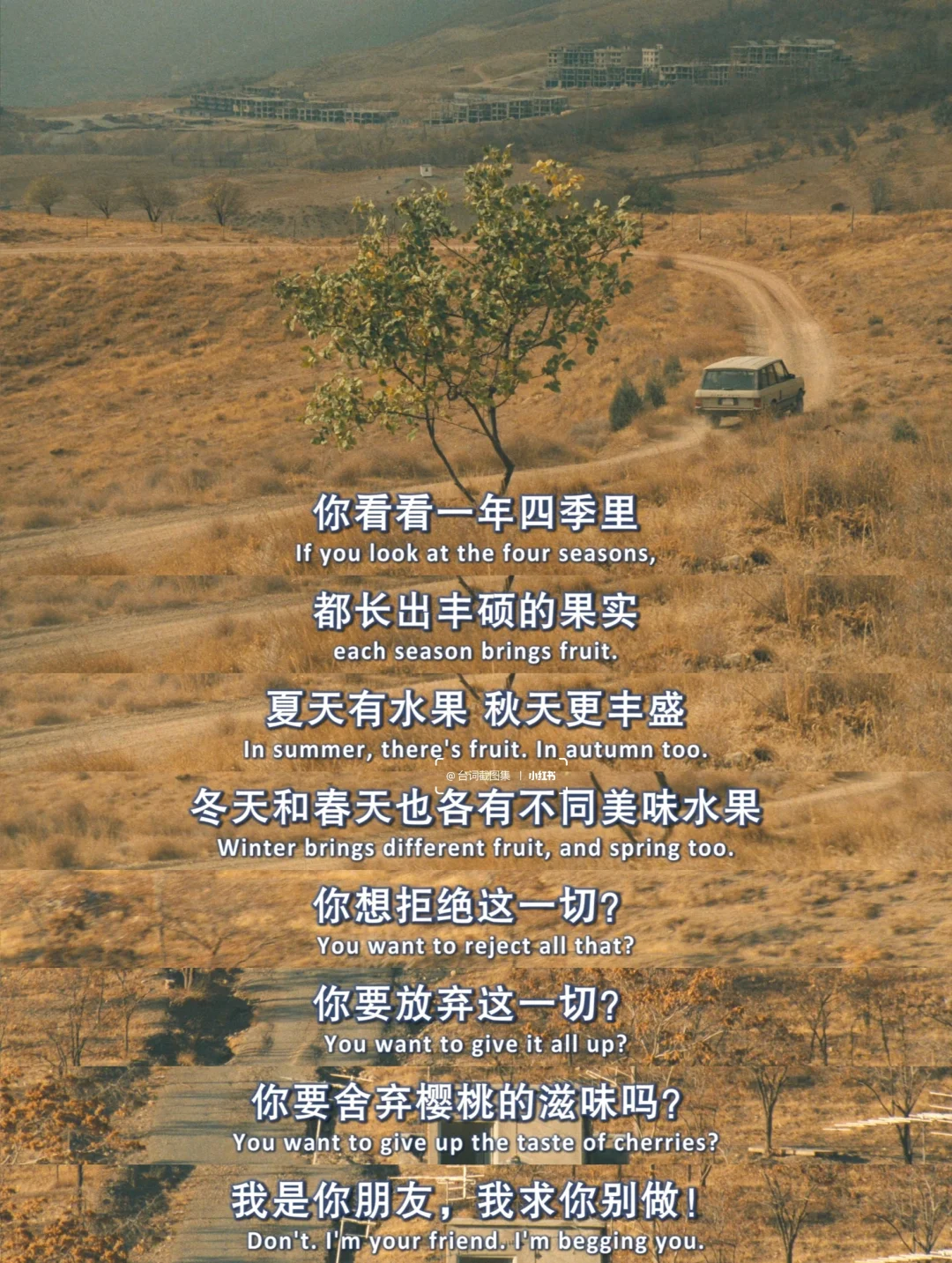 我带着自杀的念头出门 最后却带着桑葚回家