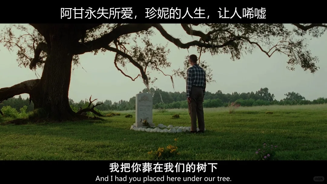 《阿甘正传》：人到中年，回看阿甘