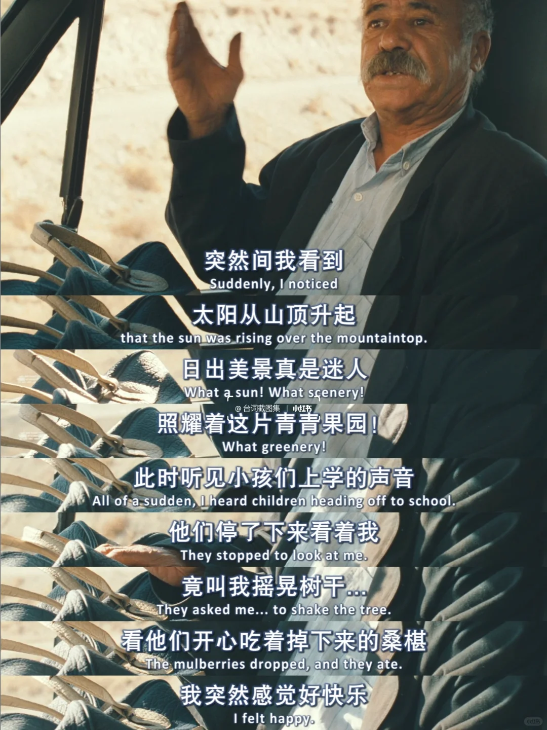 我带着自杀的念头出门 最后却带着桑葚回家