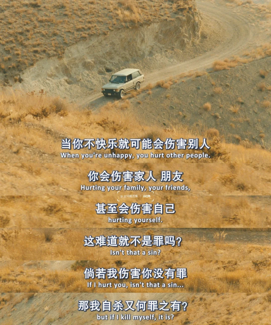 我带着自杀的念头出门 最后却带着桑葚回家