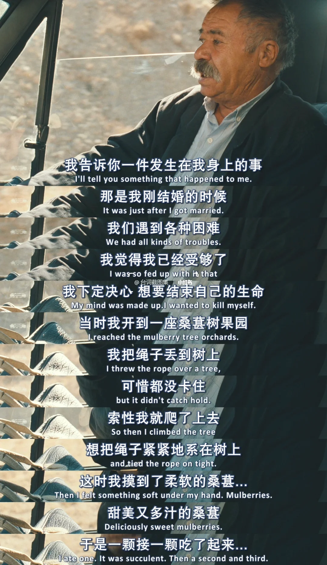 我带着自杀的念头出门 最后却带着桑葚回家