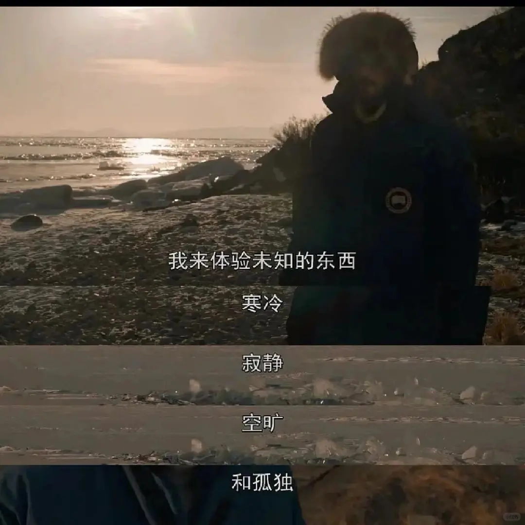 独处时看了8部电影，让感受力在盛夏疯长