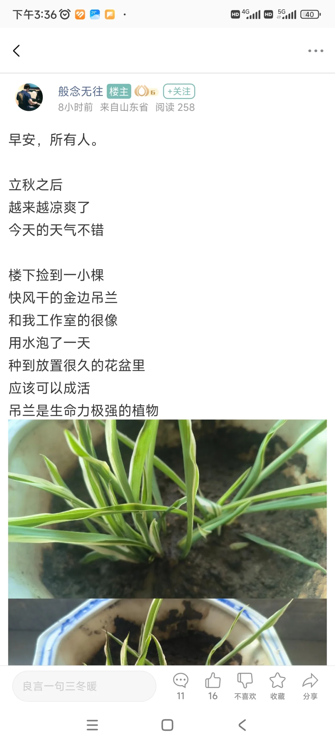 关于戒色软件，正气的详细介绍