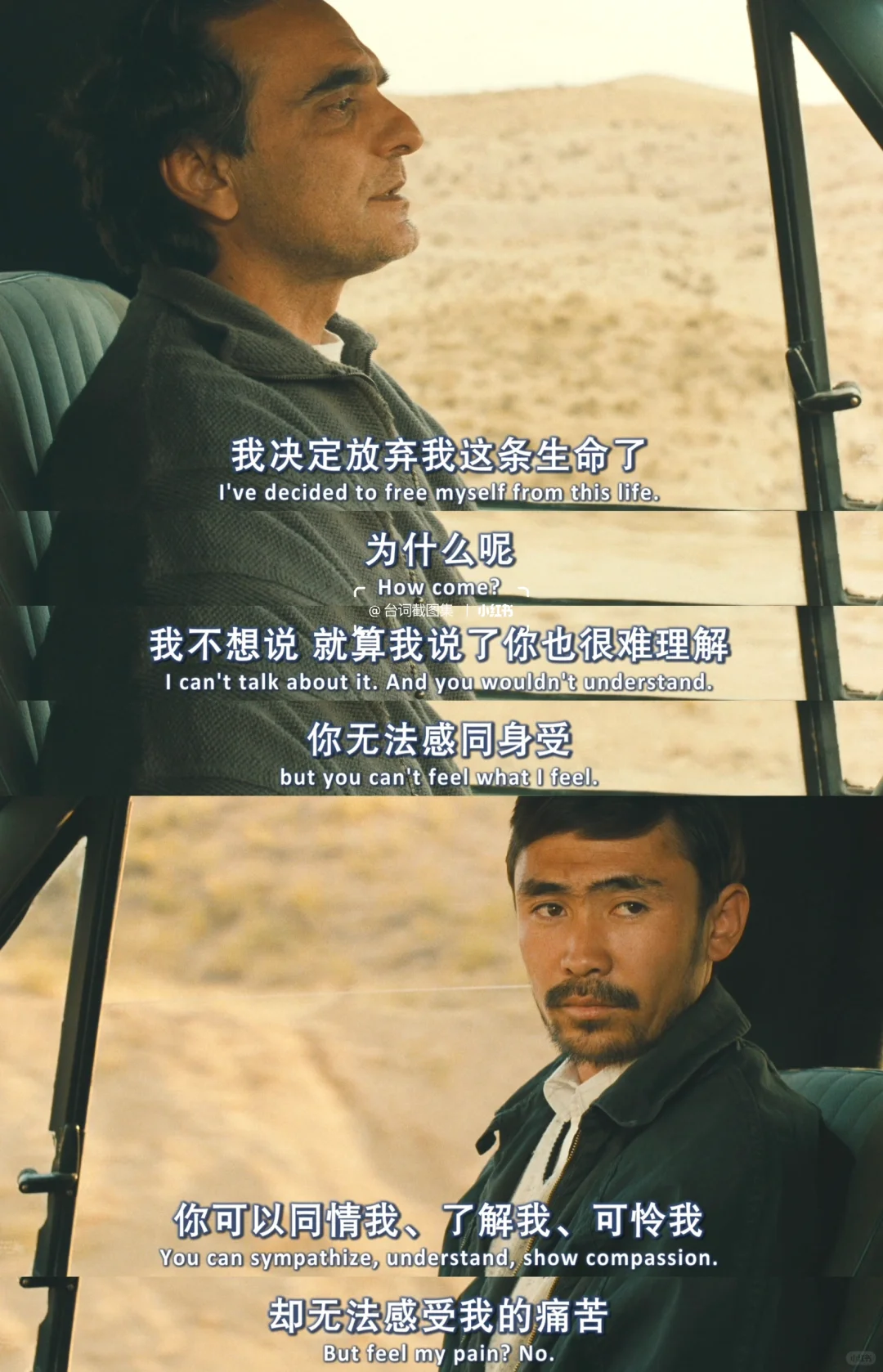 我带着自杀的念头出门 最后却带着桑葚回家