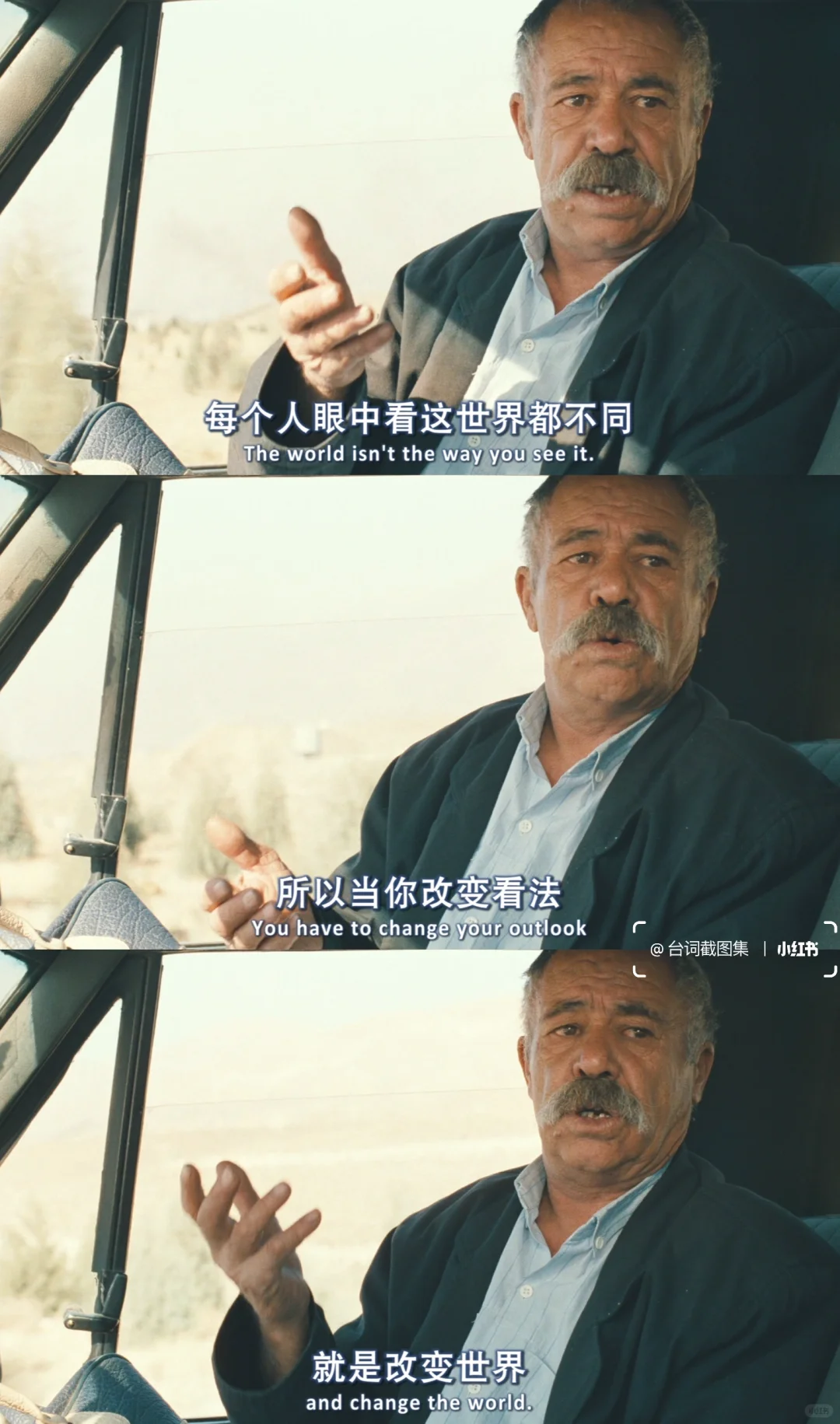 我带着自杀的念头出门 最后却带着桑葚回家