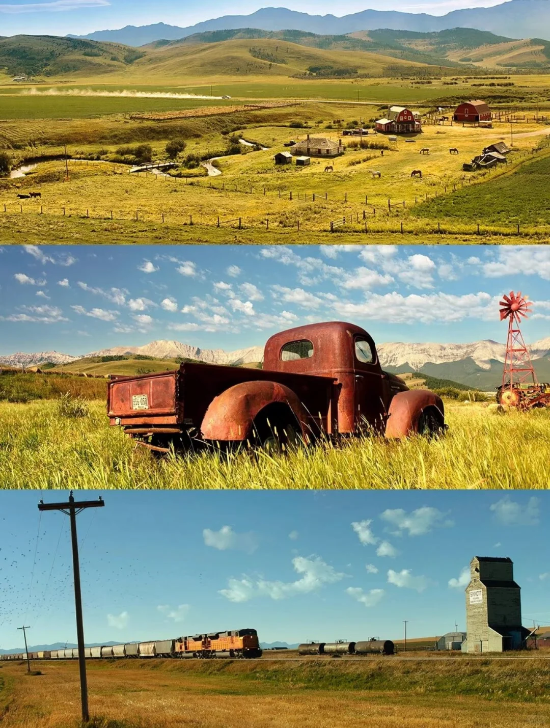 我见过最治愈的电影画面，导演也太会拍了