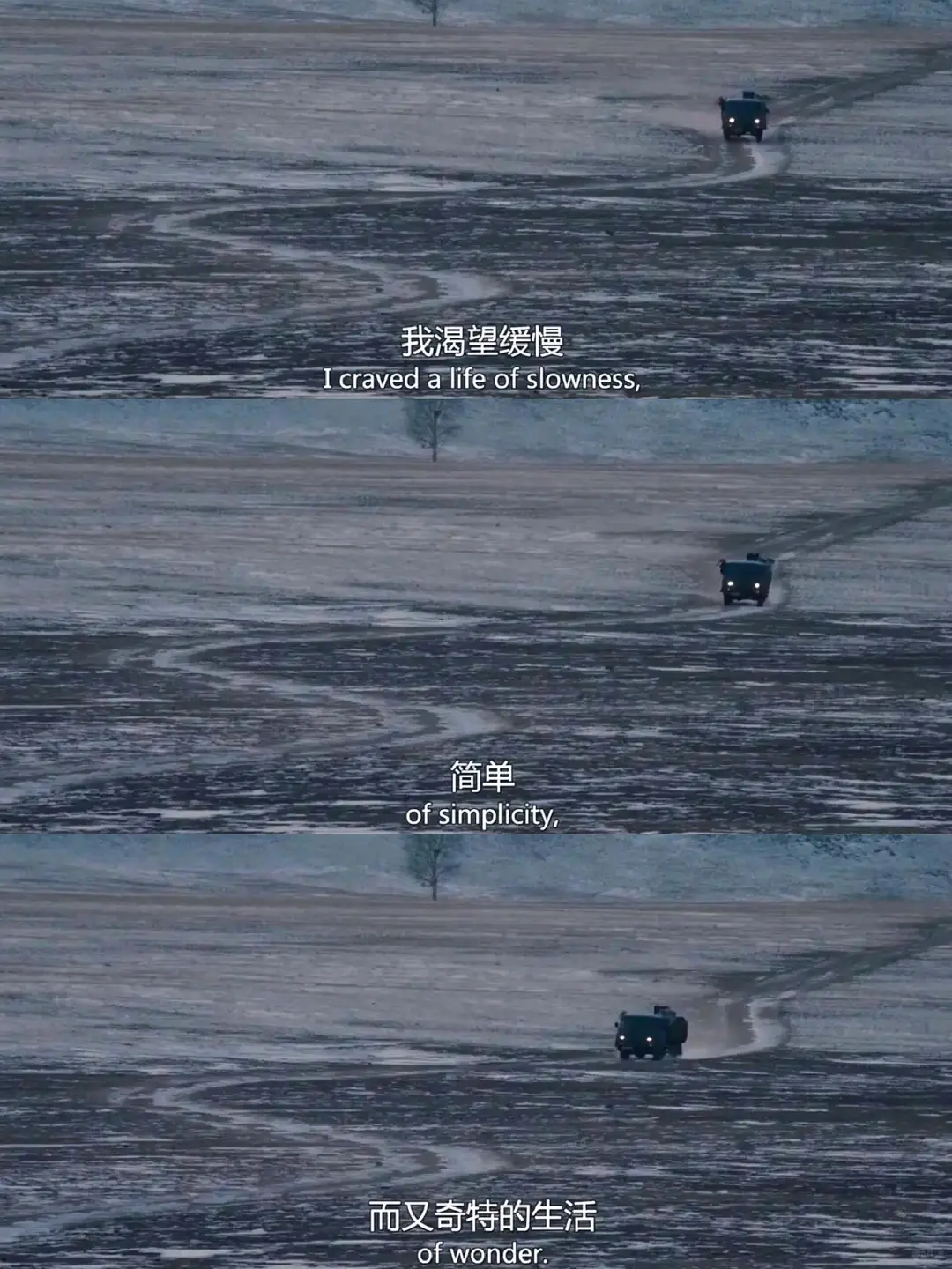 独处时看了8部电影，让感受力在盛夏疯长