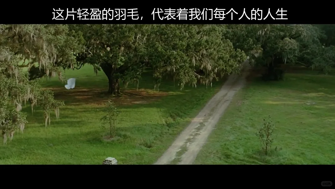 《阿甘正传》：人到中年，回看阿甘