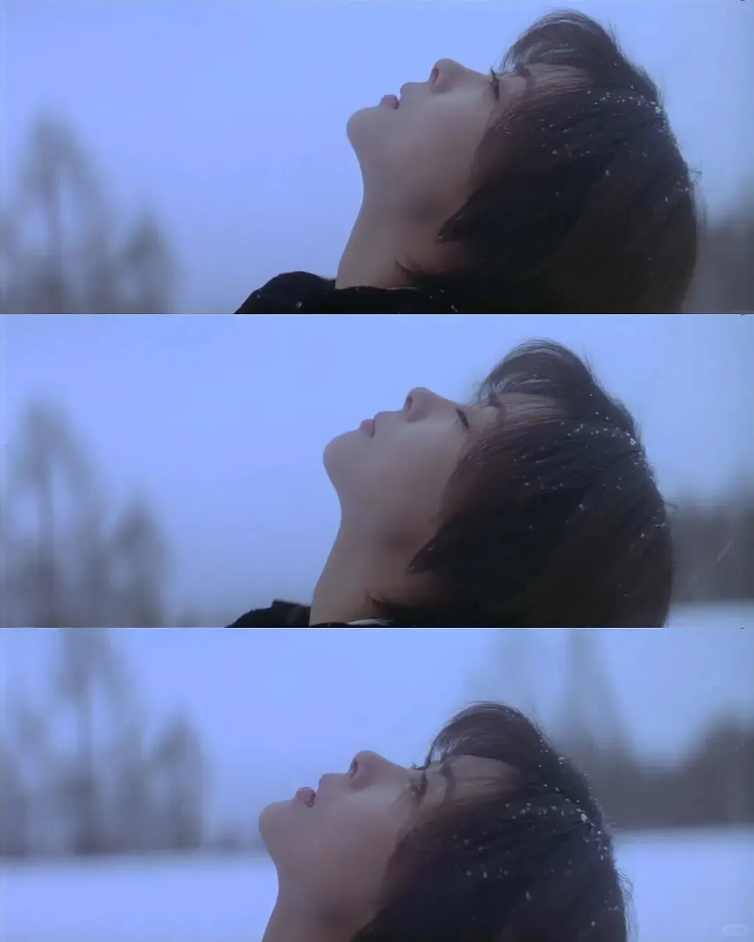 说电影《情书》是替身文学的，大概是没看懂！！