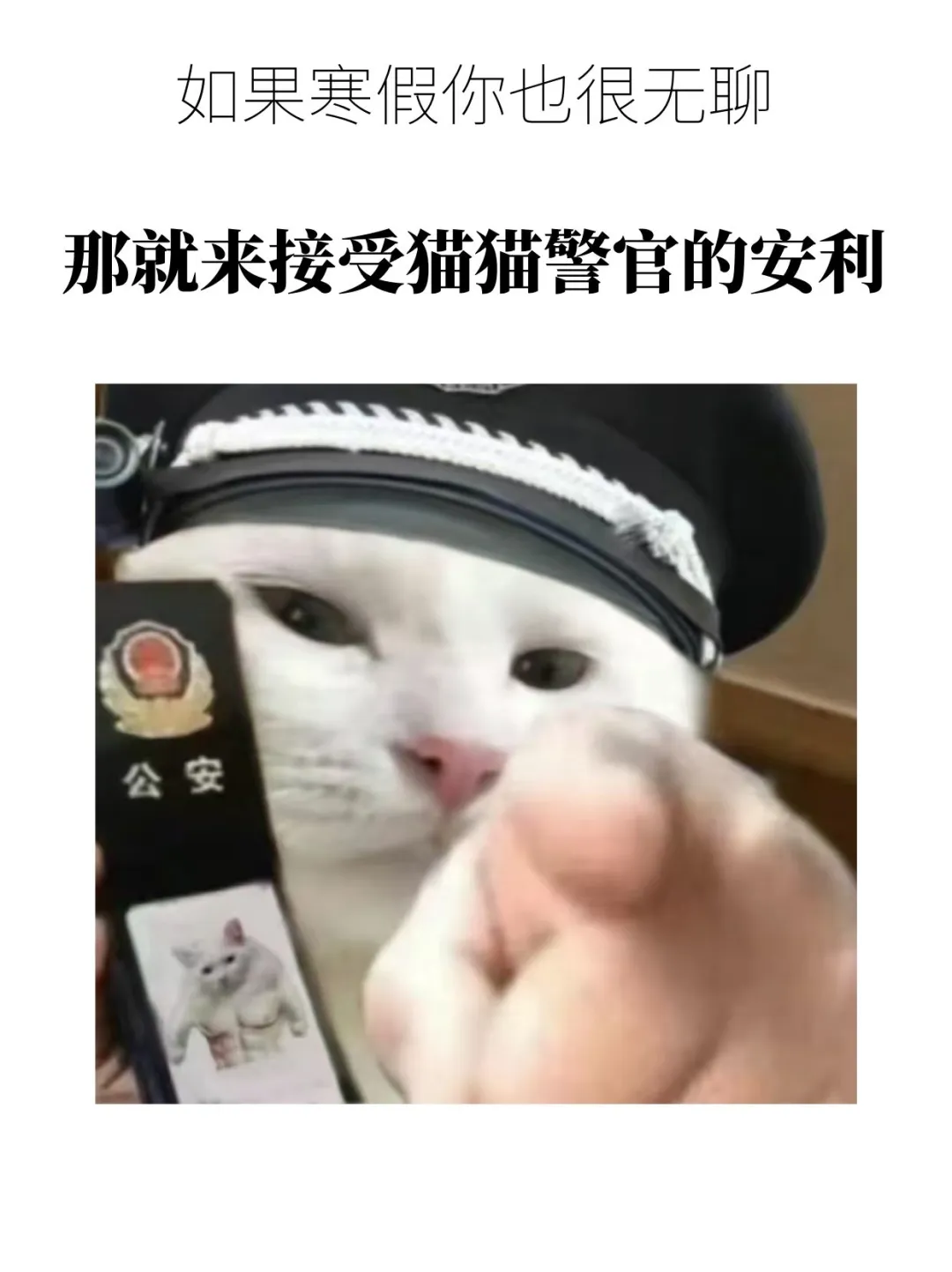 如果你现在也很无聊