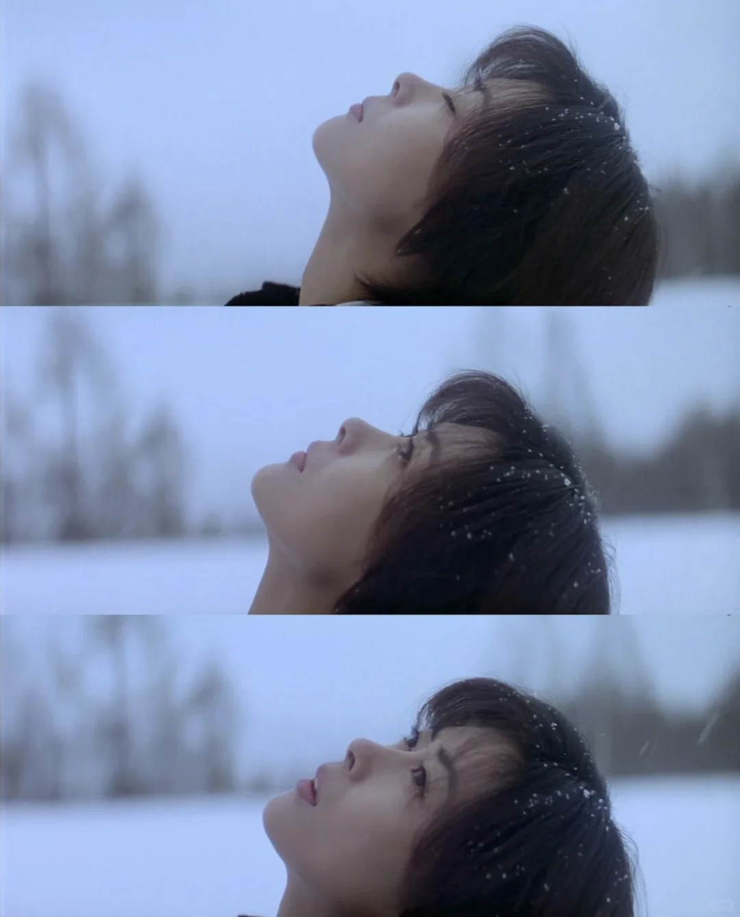 30年了，《情书》重映，竟然还能票房第一