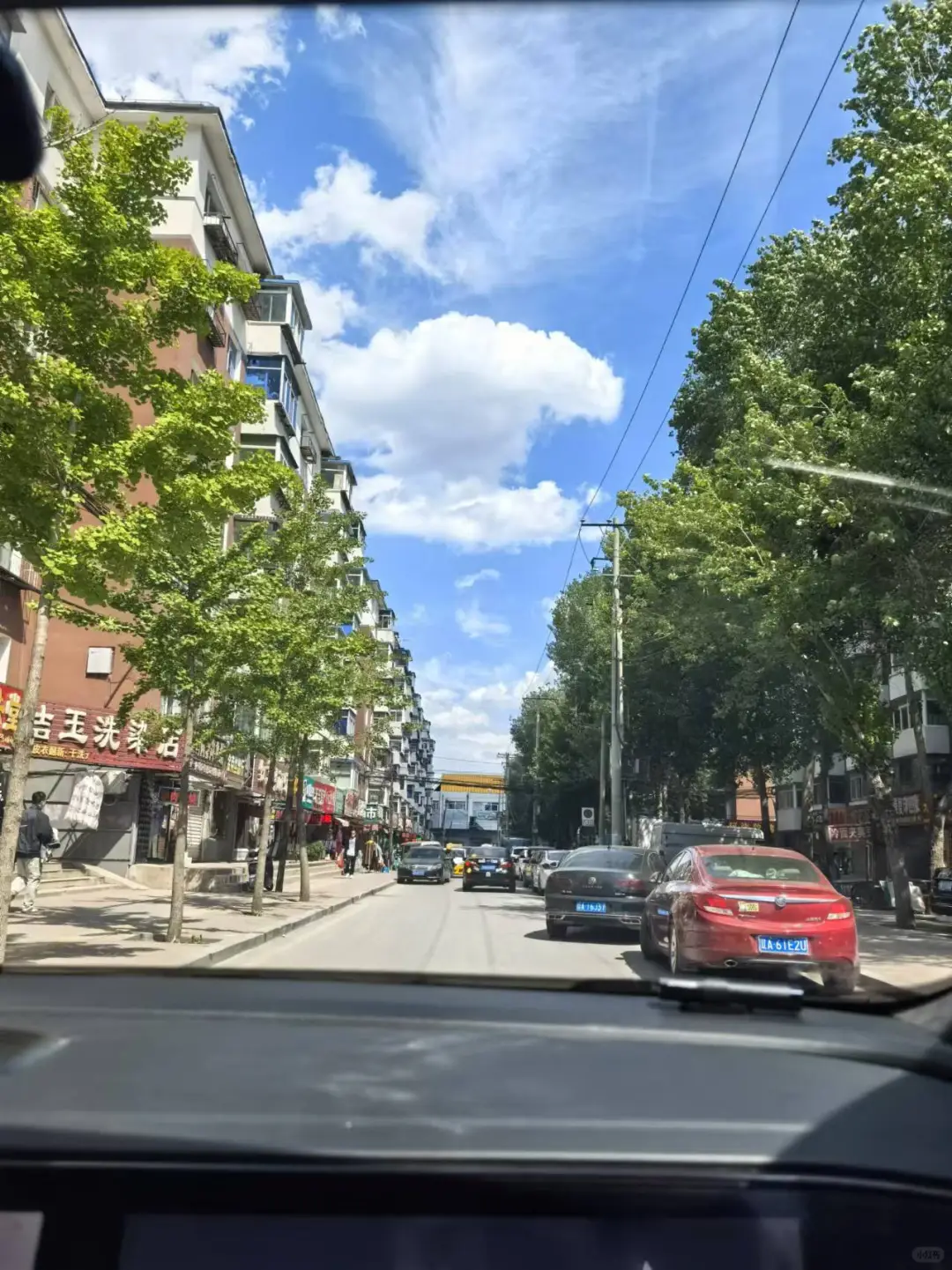 大家的本命电影都是哪部呀