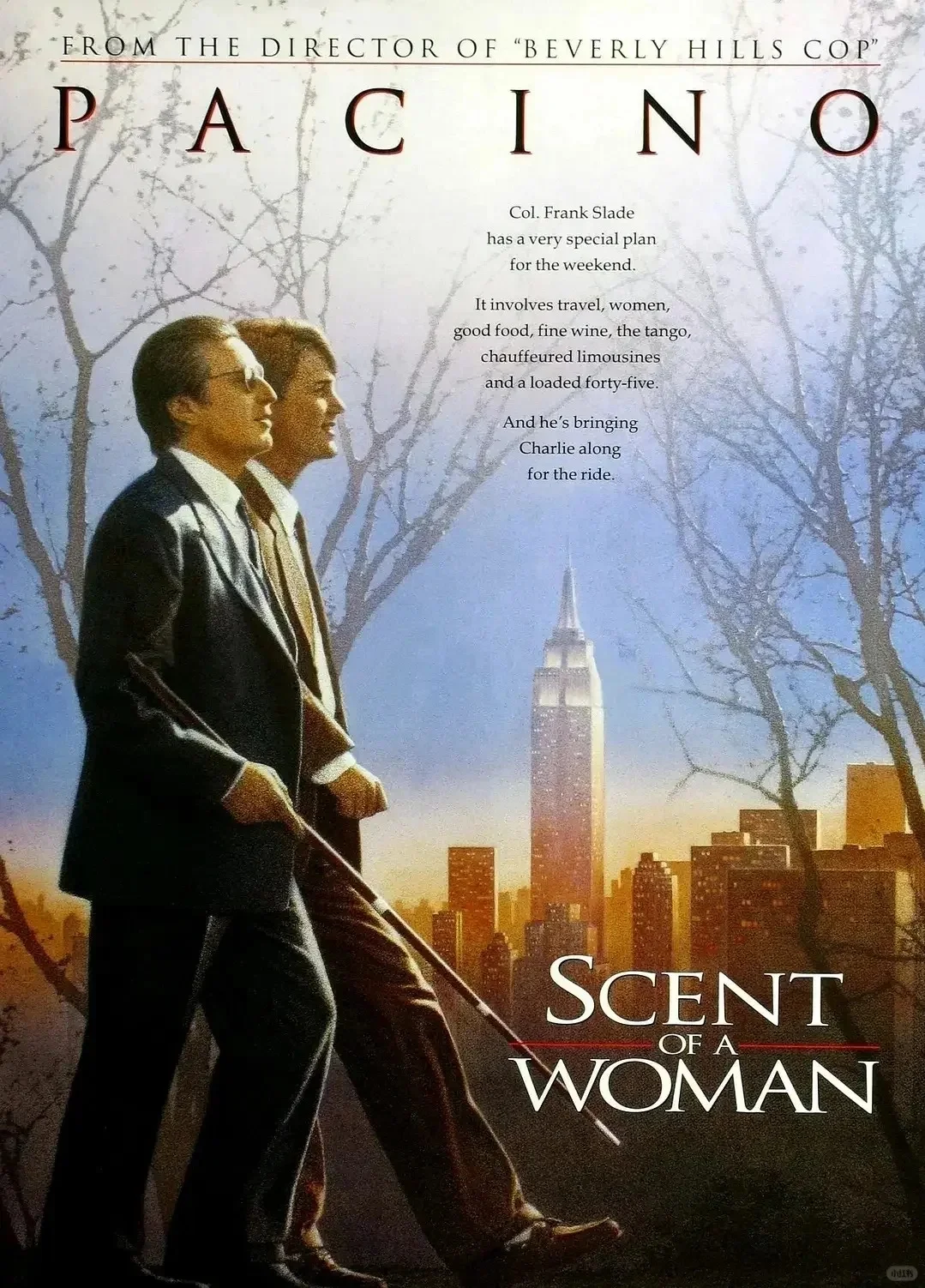 💃灵魂探戈！低谷期必刷治愈神片✨