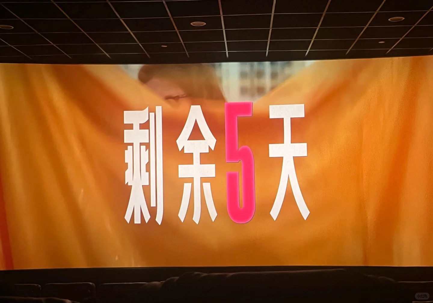 一场电影🎬
