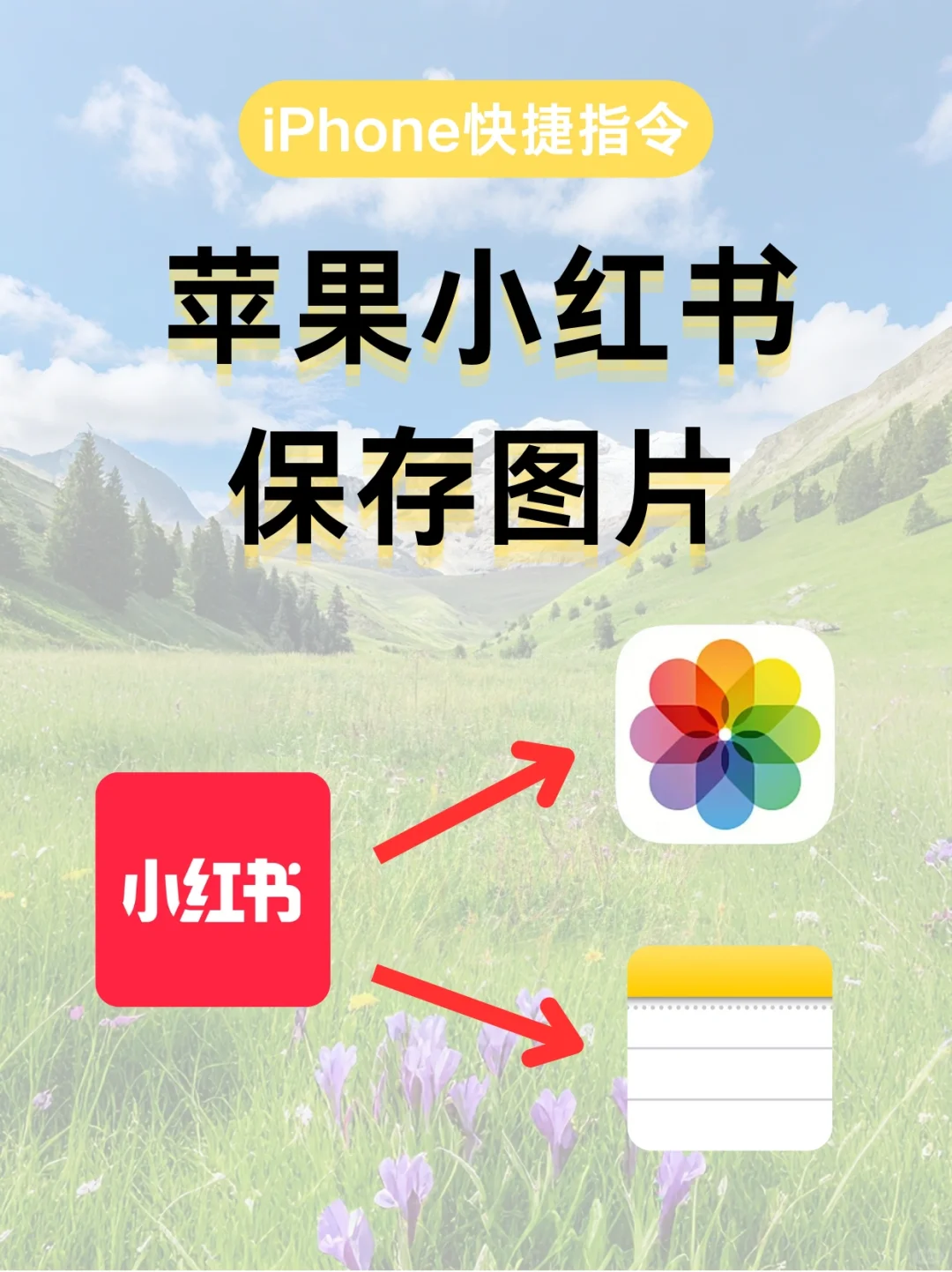 苹果自带app到底有多好用？！