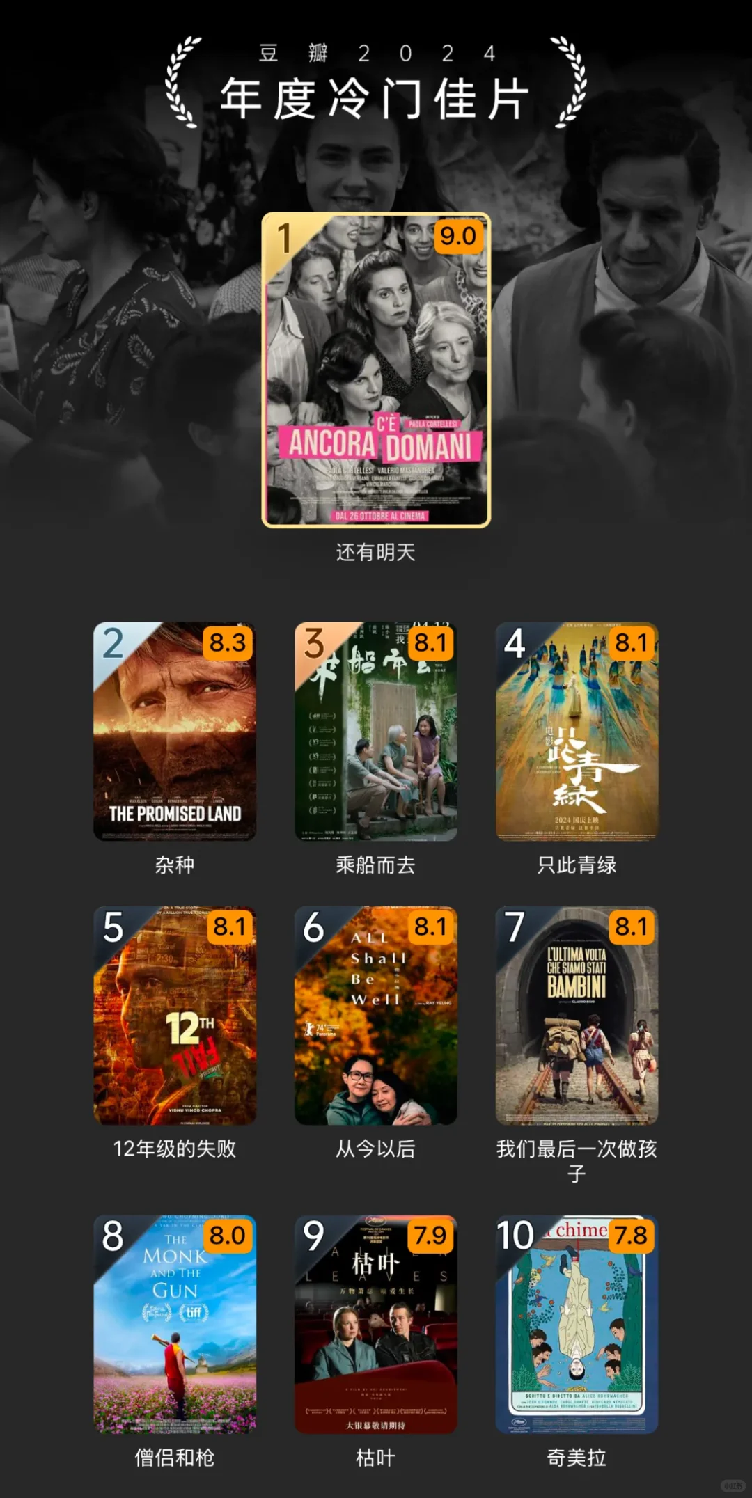 豆瓣2024年度电影榜单