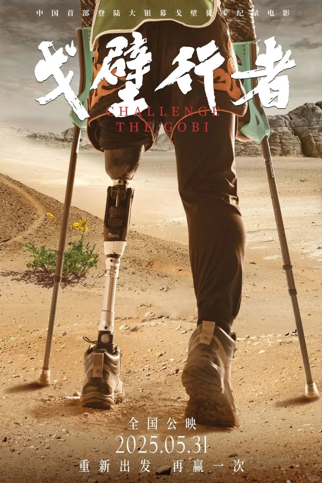 影单分享，一起去看电影吧🎬