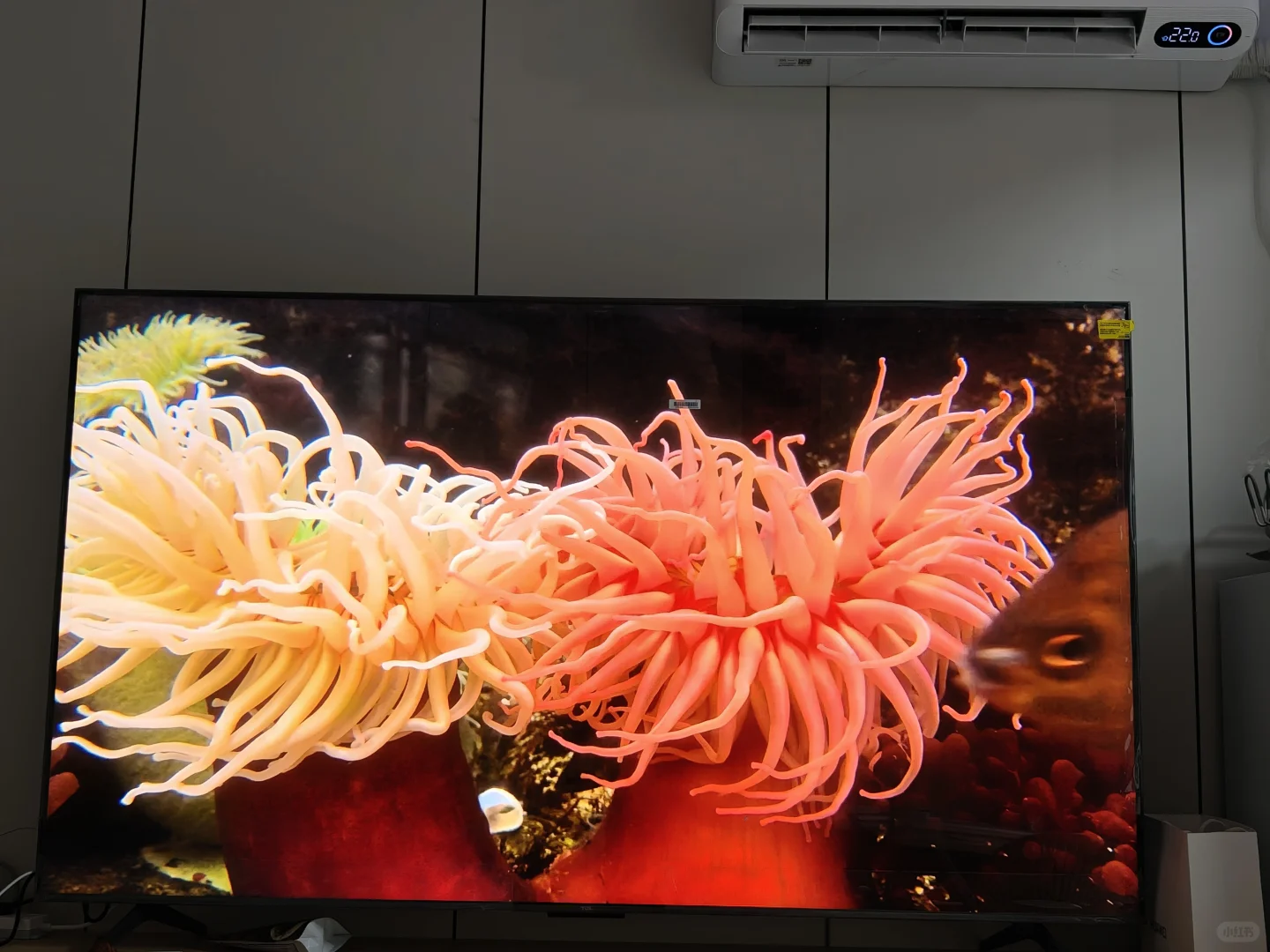 TCL 团购安全下车