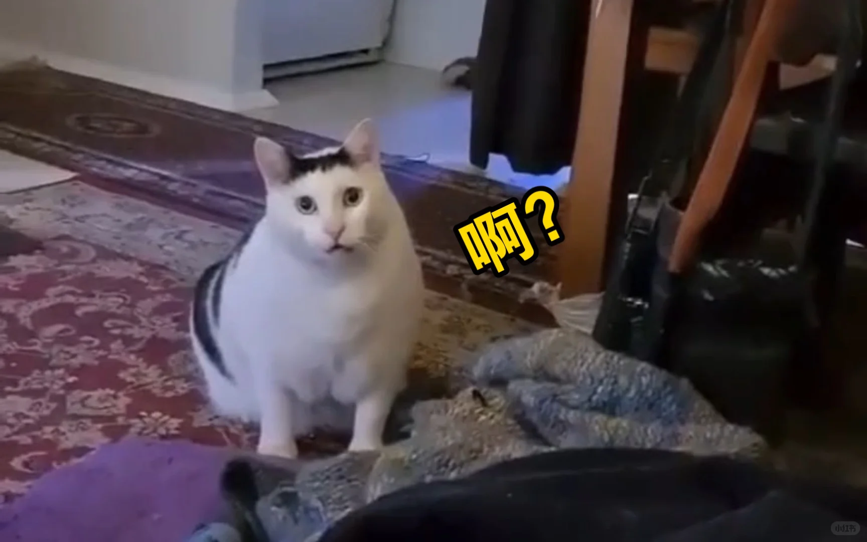 那些让你大喊卧槽的电影