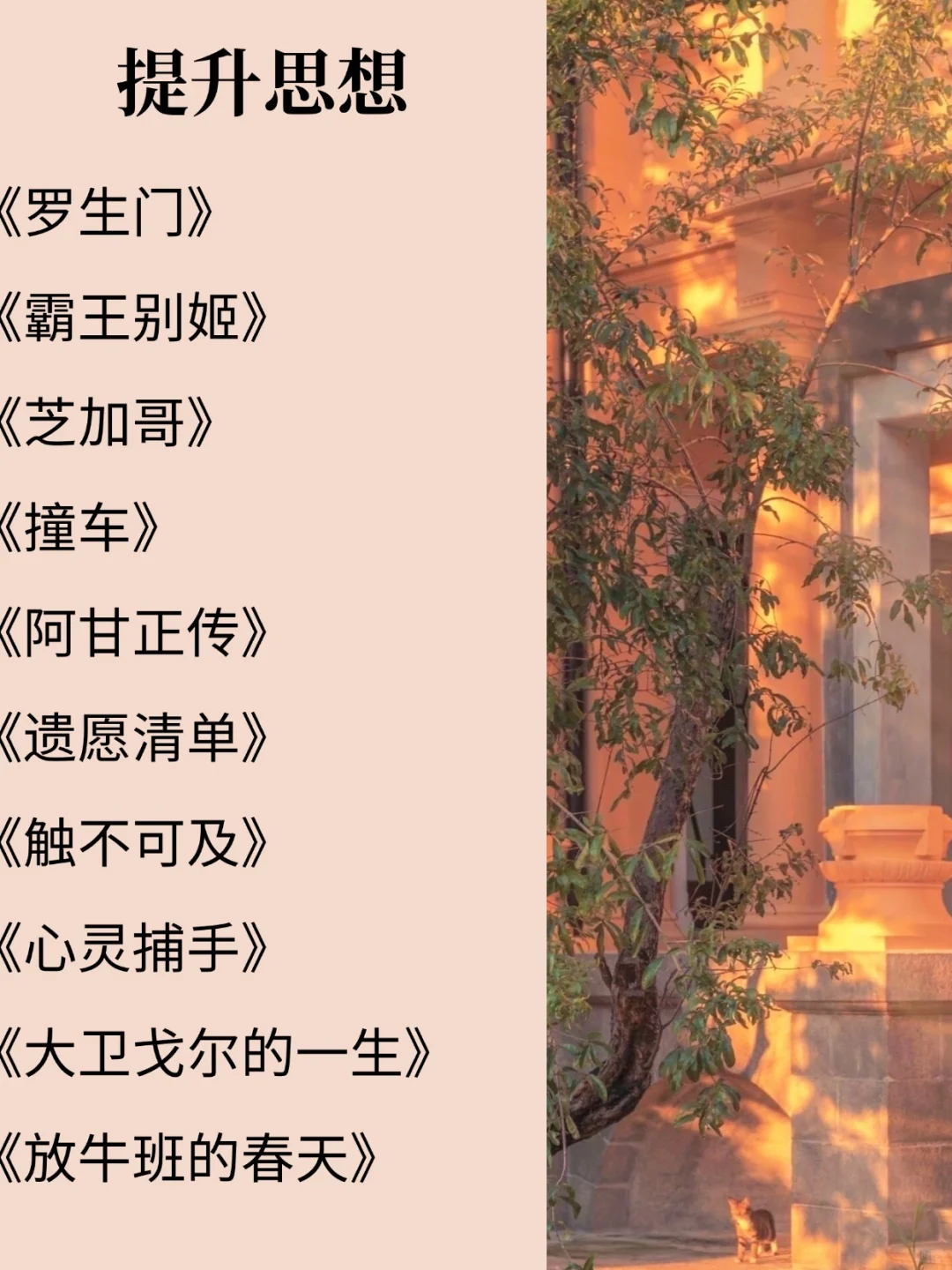 拒绝内耗，必看的150部电影