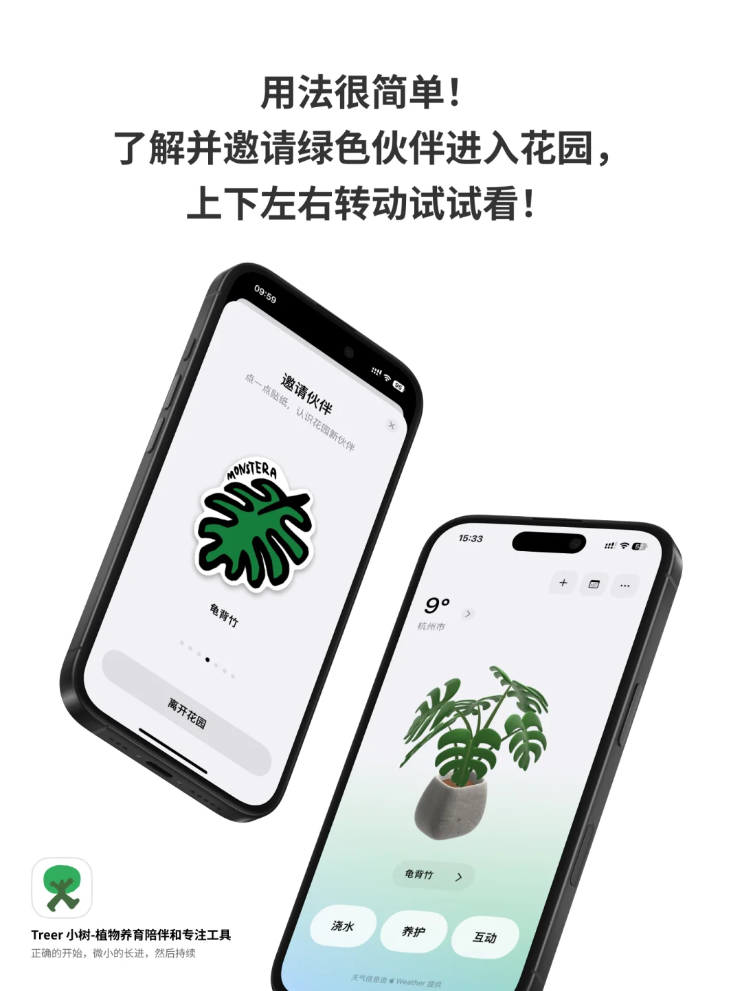 你手掌中的花园，方寸间的心流体验