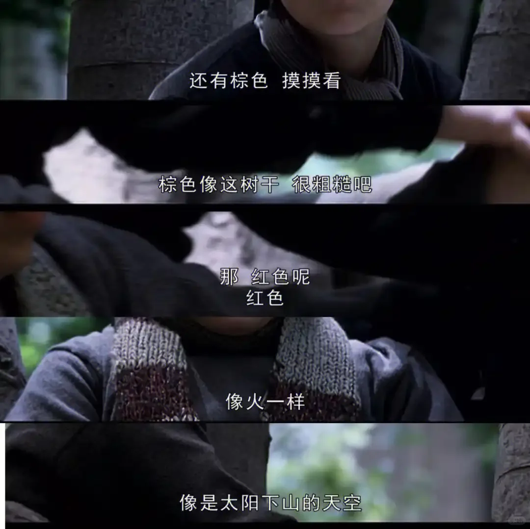 值得你看的电影🎞️