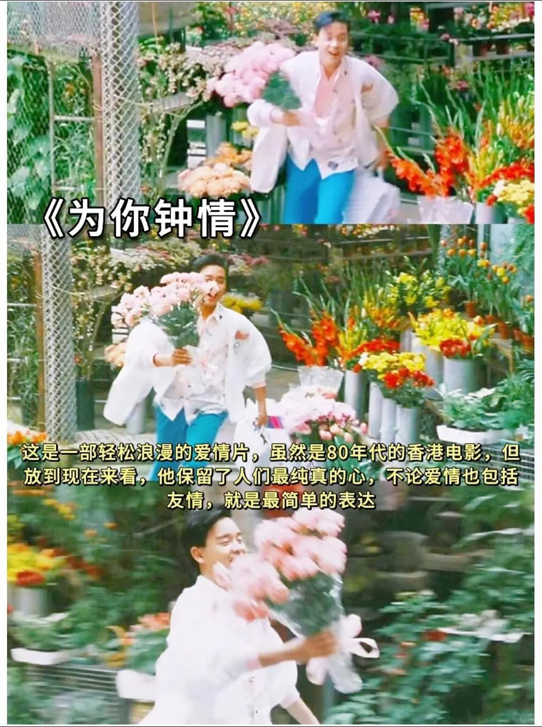 春日必看的10部氛围电影、高分治愈系电影