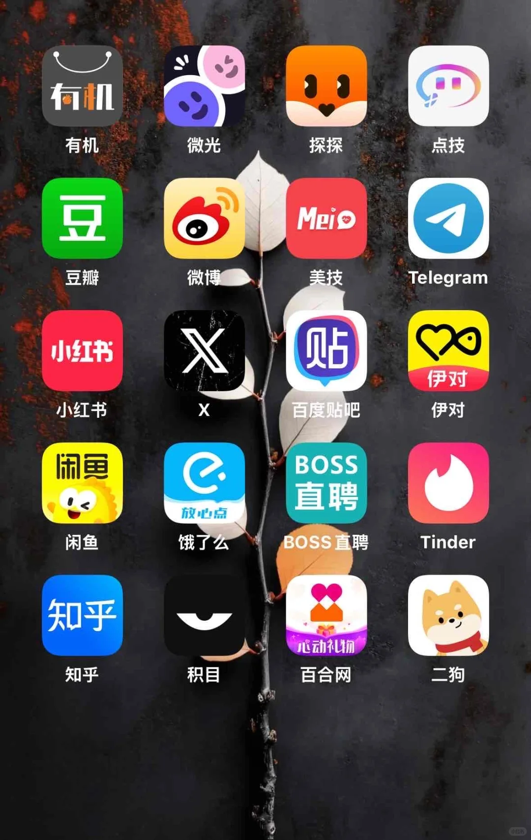 交友软件软件深度使用感受