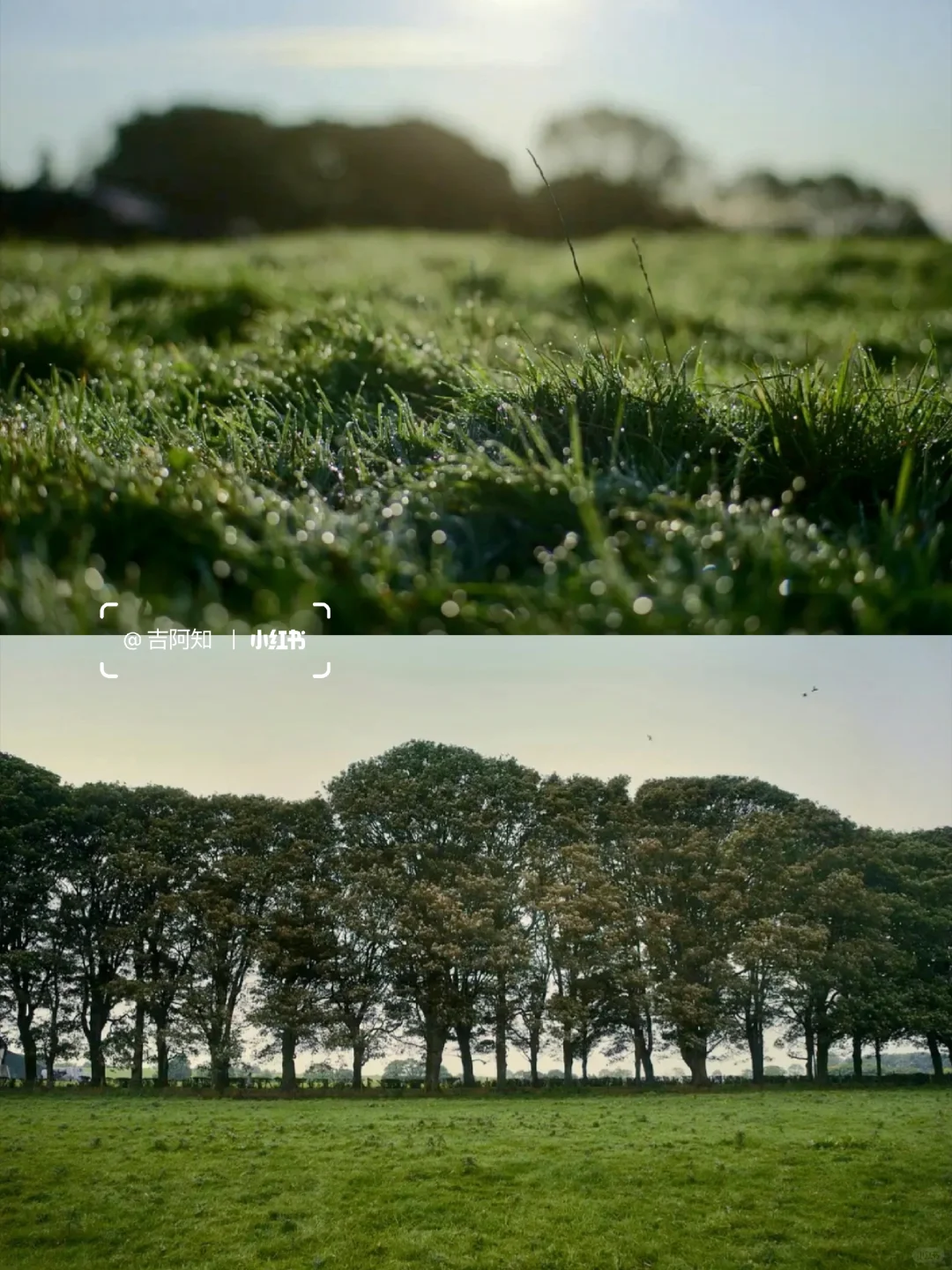 后劲太大了😭不愧是提名奥斯卡的电影‼️