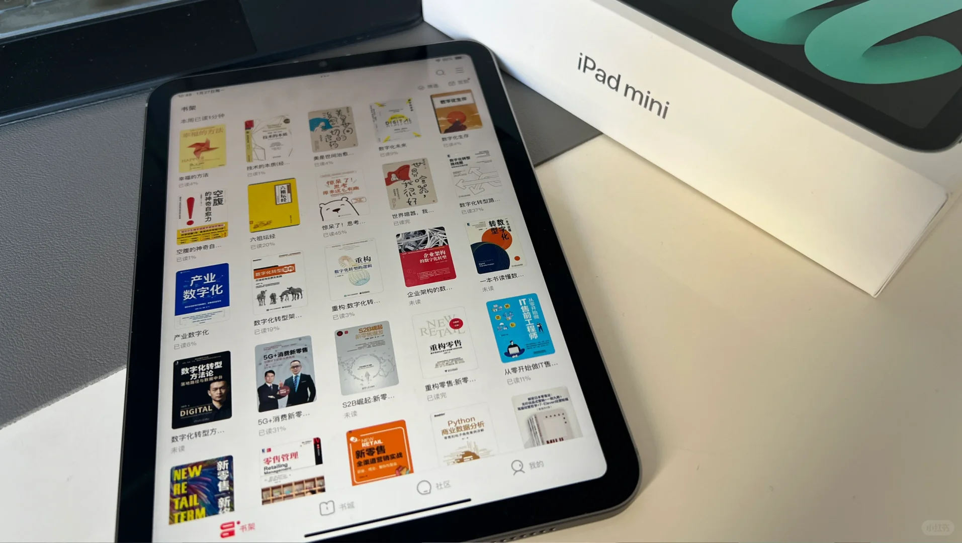 DeepSeek 推荐iPad mini 效率五剑客