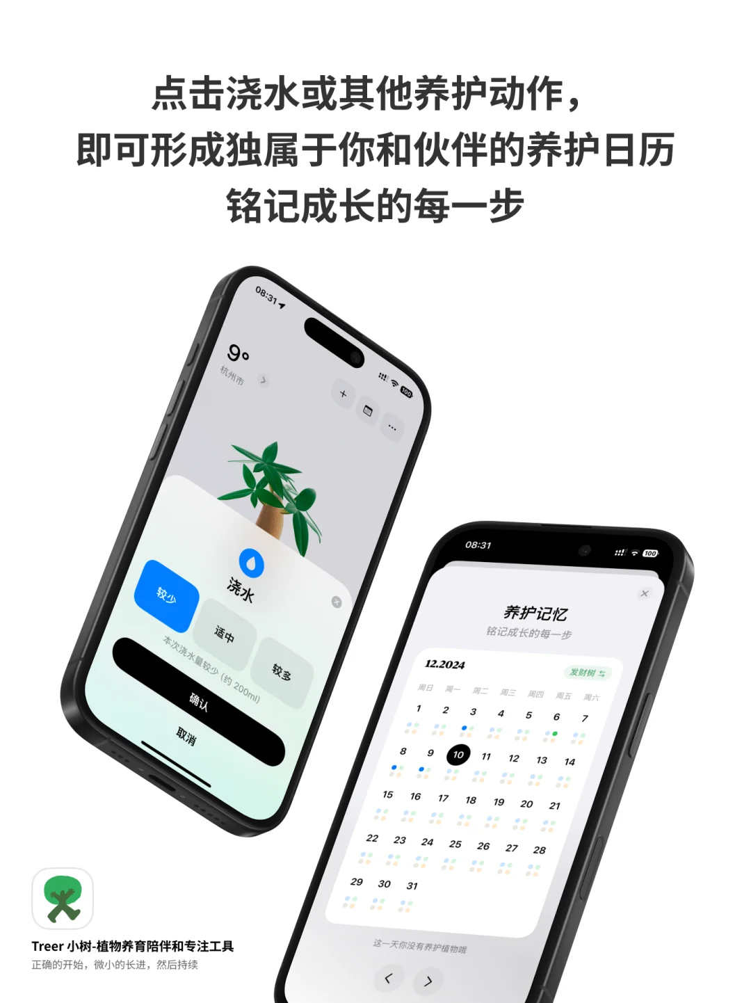 你手掌中的花园，方寸间的心流体验