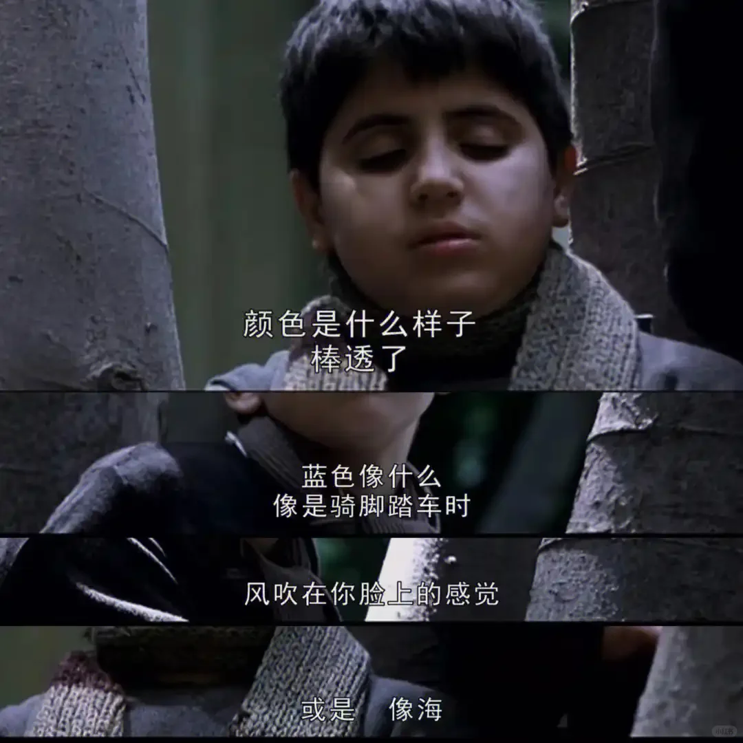 值得你看的电影🎞️