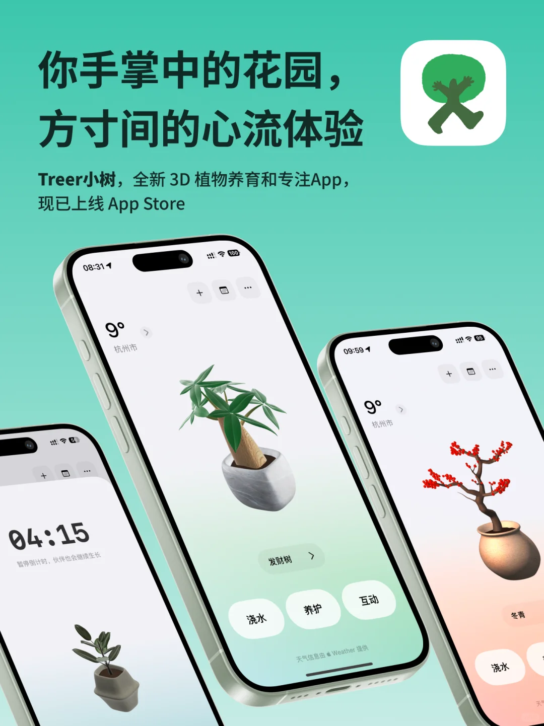 你手掌中的花园，方寸间的心流体验