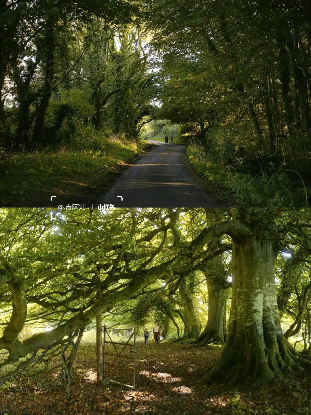 后劲太大了😭不愧是提名奥斯卡的电影‼️