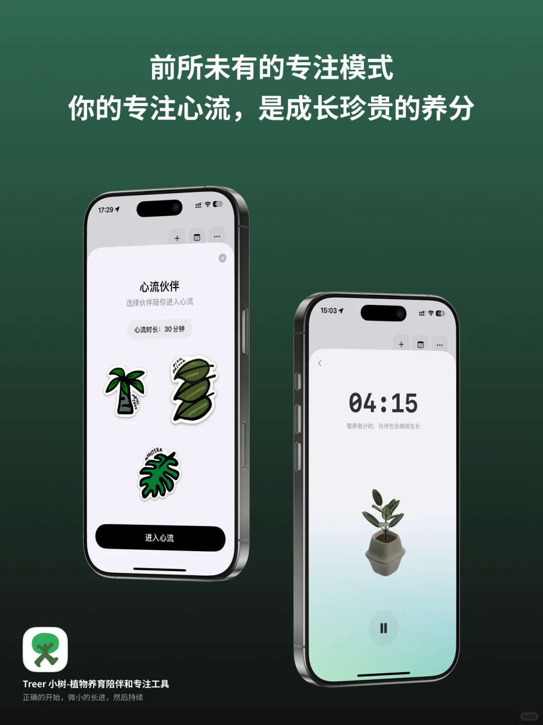 你手掌中的花园，方寸间的心流体验