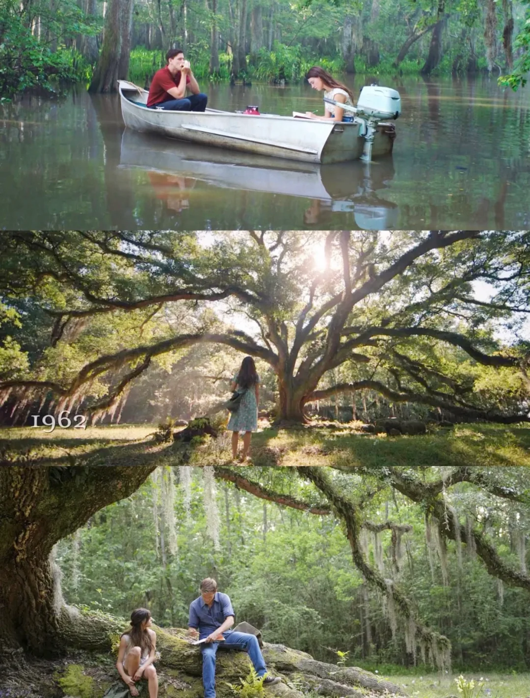 性格太软，请狂刷这部电影‼️