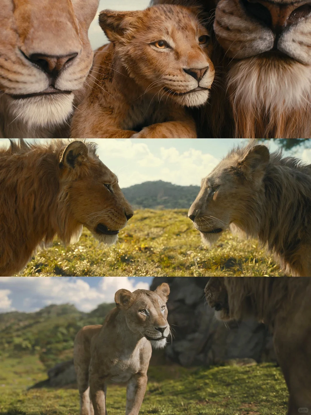 看完让你巨开心的8⃣️部动画电影🔥笑点密集