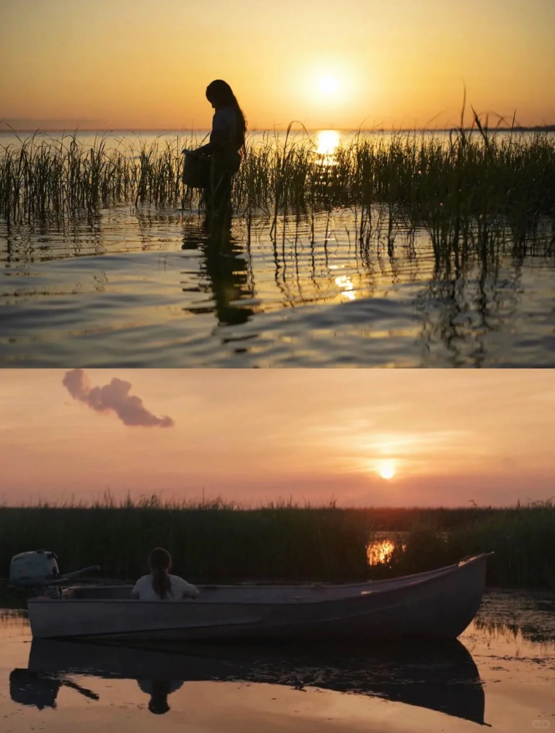 性格太软，请狂刷这部电影‼️