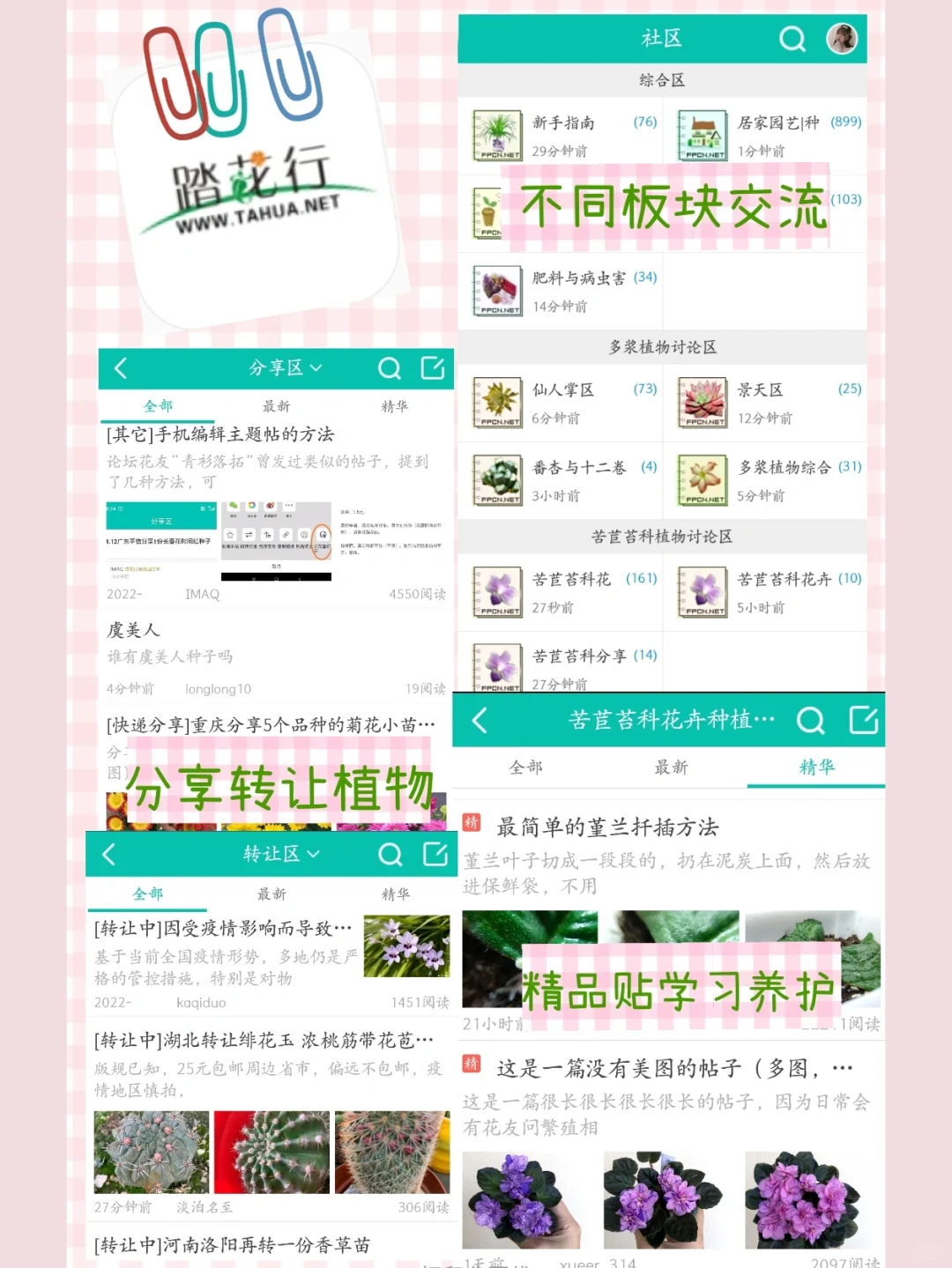 干货分享‖自用养花APP推荐